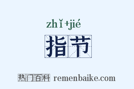 指节是什么意思的图片